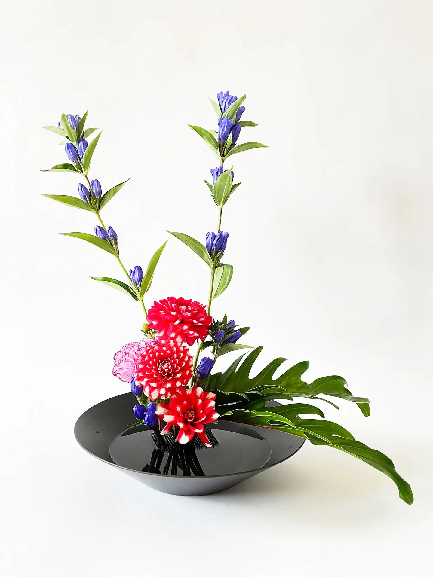 Ikebana arrangement with red dahlias, purple gentians, pink carnations, and monstera leaf in modern Japanese flower style