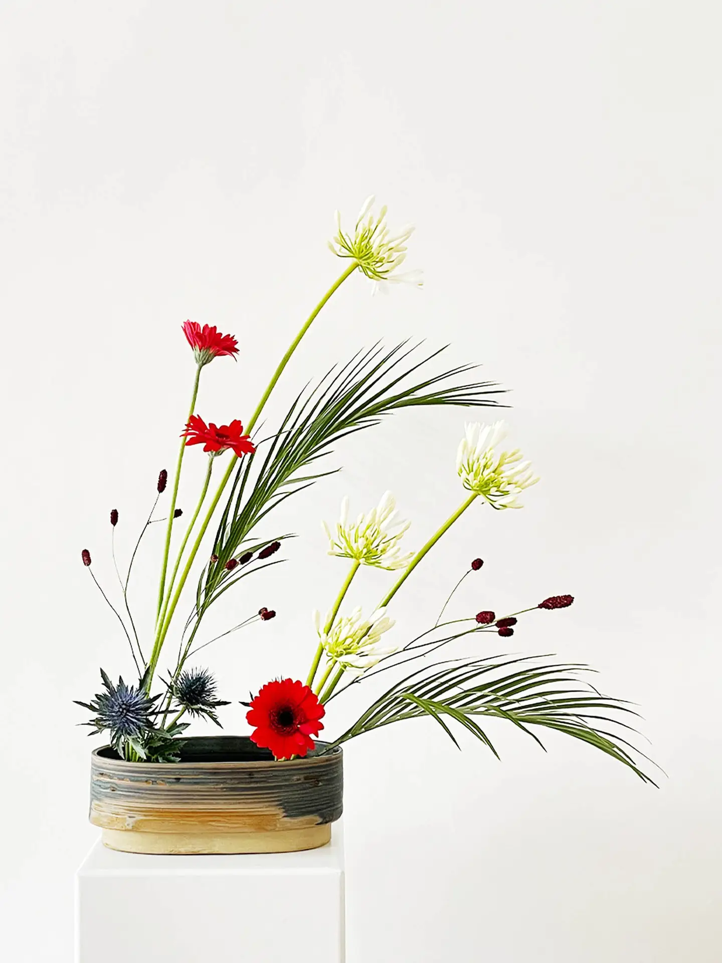 Ikebana arrangement with red gerbera, white agapanthus, and thistle in a low ceramic bowl vase by Verena de Hoog — modern Japanese flower design in Berlin by suminumi.