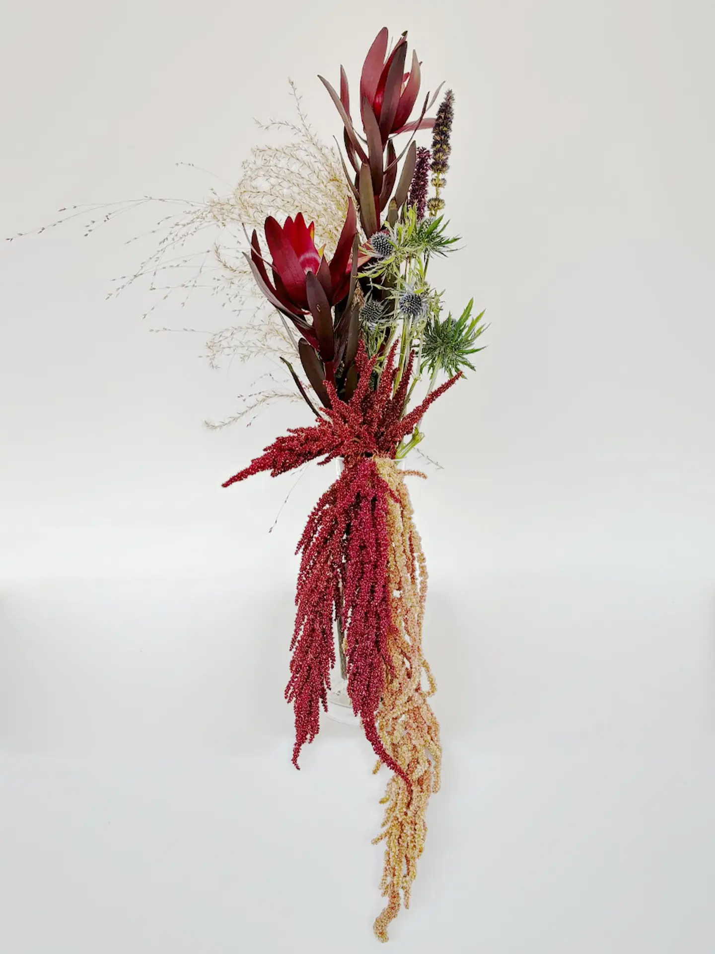 Dramatic floral arrangement with red protea, cascading amaranthus, purple liatris, and blue thistle, created by suminumi in Berlin.
