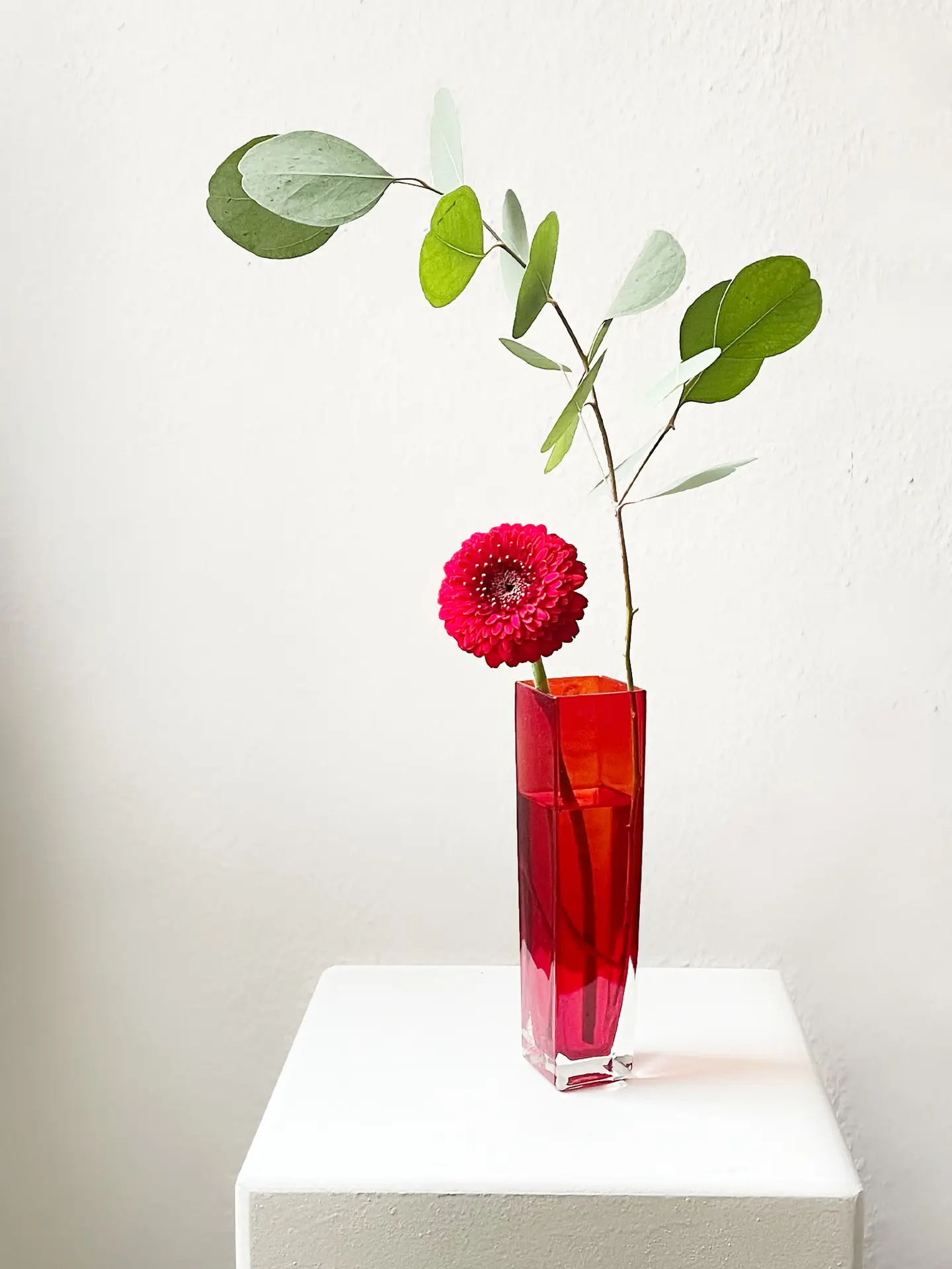 Minimalist flower arrangement with a single red gerbera and eucalyptus branch in a tall red glass vase, created by suminumi in Berlin.