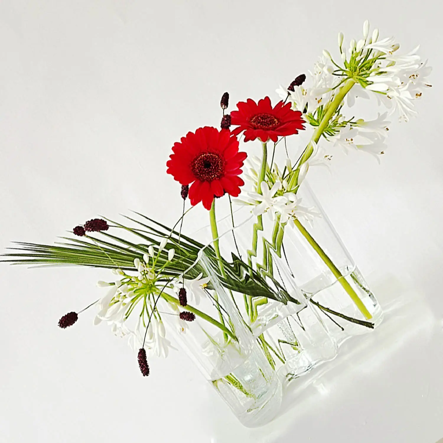 Contemporary flower arrangement with red gerbera and white agapanthus in a clear glass Iittala vase, created by suminumi in Berlin.