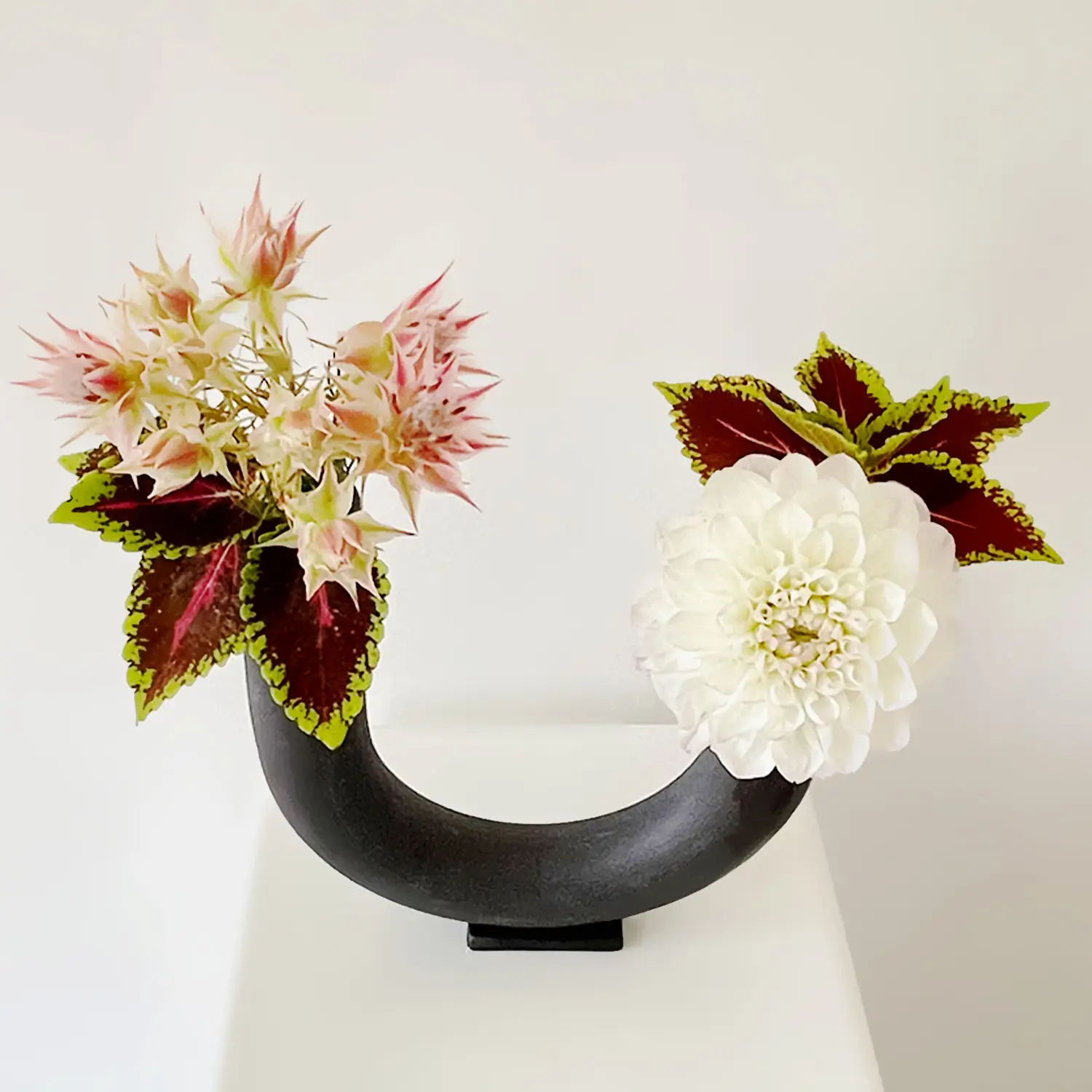 Ikebana workshop in Berlin by Sumi — white dahlia and coleus arrangement in a modern black vase by Verena De Hoog