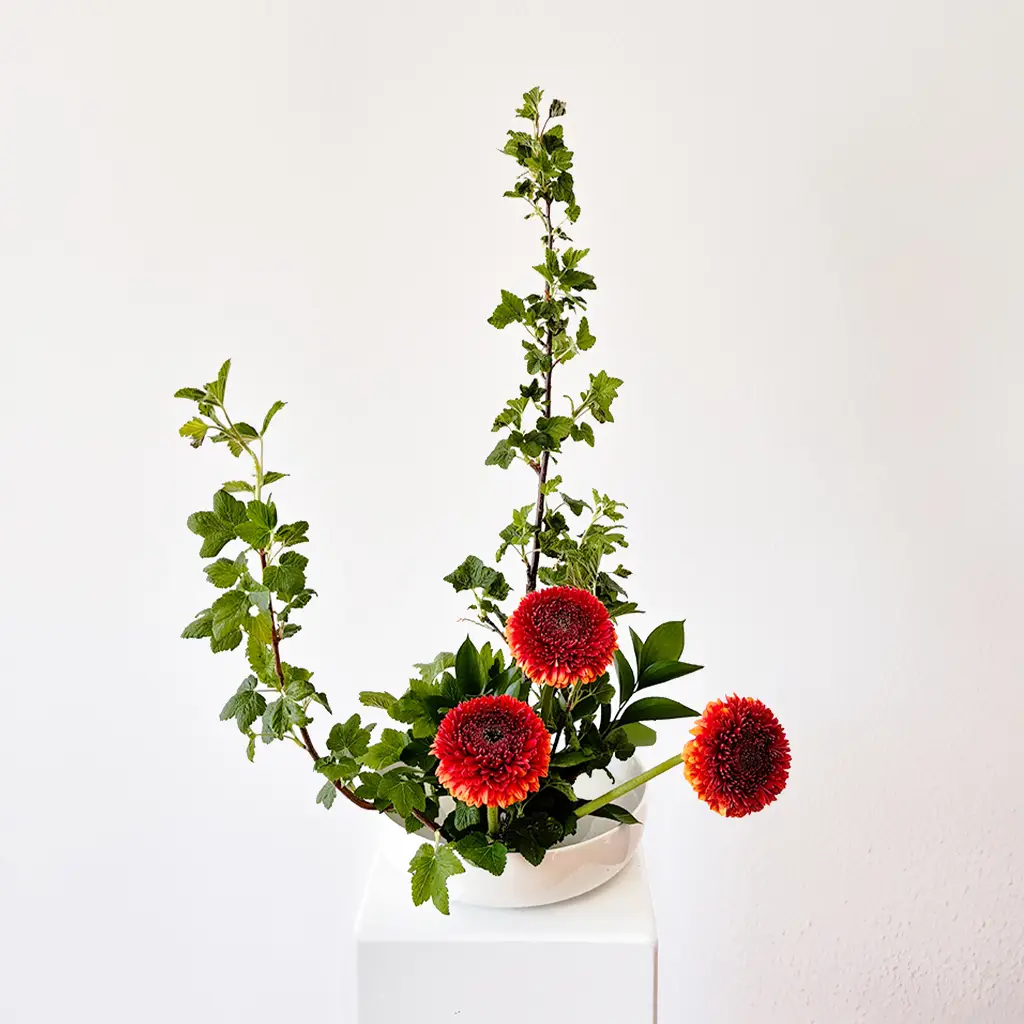 Seasonal ikebana arrangement with red dahlias and green foliage – ikebana class Berlin example